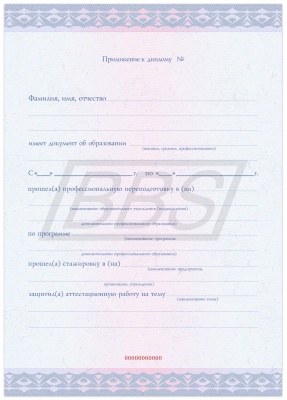 Приложение к диплому о профессиональной переподготовке, формат А4, "Вид 4" (арт. 31035)   