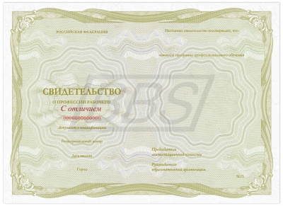 Бланк свидетельства о профессии рабочего (с отличием) (арт. 42007)