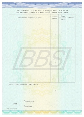 Приложение к диплому о профессиональной переподготовке, Вид 5 (290*205) (арт. 31040)