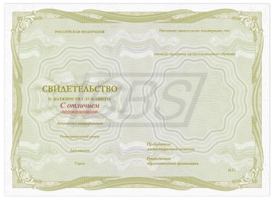 Бланк свидетельства о должности служащего (с отличием) (арт. 42013)