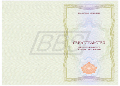 Бланк свидетельства о профессии рабочего, должности служащего (БЕЗ ФЛАГА),  с твёрдой обложкой (арт. 42024)