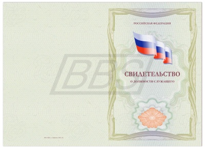 Бланк свидетельства о должности служащего (арт. 42011)