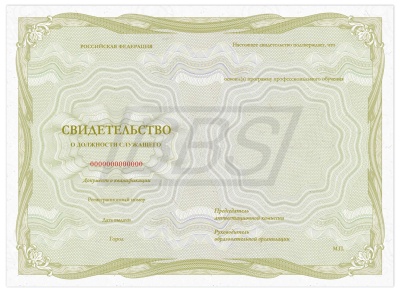 Бланк свидетельства о должности служащего (арт. 42011)