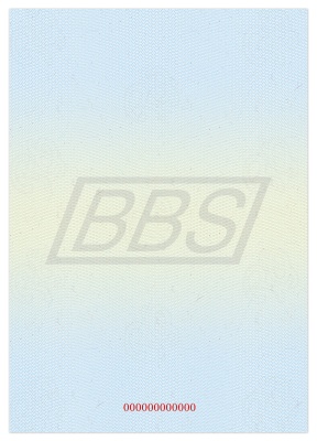 Приложение к диплому о профессиональной переподготовке А5, пустой (ВИД 3, зелено-голубой) (арт. 31045)