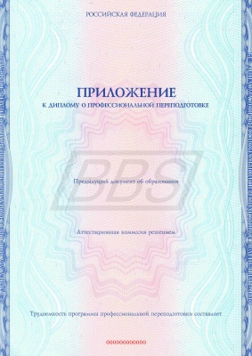 Приложение к диплому о профессиональной переподготовке, формат А4 (арт. 31008)