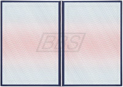 Бланк диплома о среднем профессиональном образовании, с твёрдой обложкой (арт. 21003)