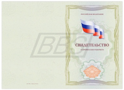 Бланк свидетельства о профессии рабочего (с отличием) (арт. 42007)