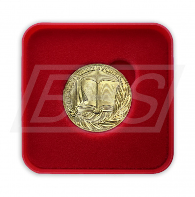 Золотая медаль «За особые успехи в учении» I степени в пластиковом футляре с бархатным ложементом (ВИД 2) (арт. 61024)