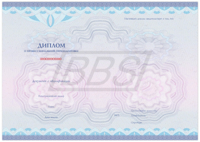 Бланк диплома о профессиональной переподготовке "Универсальный" (арт. 31001)