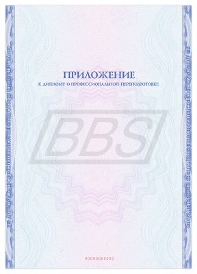 Приложение к диплому о профессиональной переподготовке А4 "Вид 2" (без таблицы) (арт. 31033) Приложение к диплому о профессиональной переподготовке А4 "Вид 2" (без таблицы) (арт. 31033)