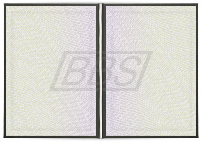 Бланк свидетельства о профессии рабочего, должности служащего (БЕЗ ФЛАГА),  с твёрдой обложкой (арт. 42024)