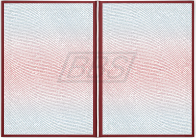 Бланк диплома о среднем профессиональном образовании, с твёрдой обложкой (с отличием) (арт. 21004)