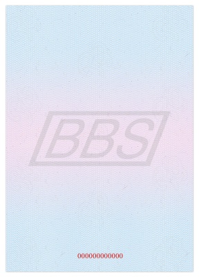 Приложение к диплому о профессиональной переподготовке А5, пустой (ВИД 2) (арт. 31044)