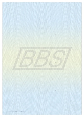 Приложение к диплому о профессиональной переподготовке А5, пустой (ВИД 3, зелено-голубой) (арт. 31045)