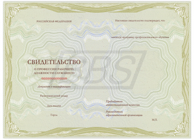 Бланк свидетельства о профессии рабочего, должности служащего (БЕЗ ФЛАГА),  с твёрдой обложкой (арт. 42024)
