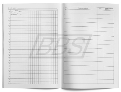 Журнал занятий внеурочной деятельности, 64 стр. (арт. 15008)