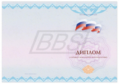 Бланк диплома о профессиональной переподготовке "Универсальный, Вид 5" (пустой) (арт. 31046)