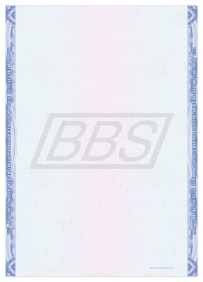 Приложение к диплому о профессиональной переподготовке А4 "Вид 2" (без таблицы) (арт. 31033) Приложение к диплому о профессиональной переподготовке А4 "Вид 2" (без таблицы) (арт. 31033)