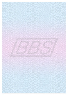 Приложение к диплому о профессиональной переподготовке А5, пустой (ВИД 2) (арт. 31044)