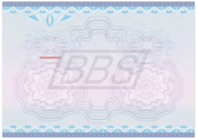 Бланк диплома о профессиональной переподготовке "Универсальный, Вид 5" (пустой) (арт. 31046)