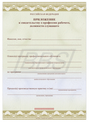 Бланк приложения к свидетельству о профессии рабочего, должности служащего (Формат А5) (арт. 42026)