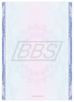 Приложение к диплому о профессиональной переподготовке А4 "Вид 3" (арт. 31034) Приложение к диплому о профессиональной переподготовке А4 "Вид 3" (арт. 31034)